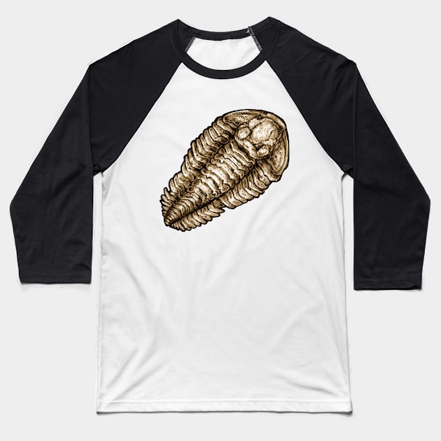 Calymene Trilobite Fossil Sticker Baseball T-Shirt by CassWArt